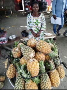 Appui aux activités génératrices de revenus — Cotonou, 26 mars 2024